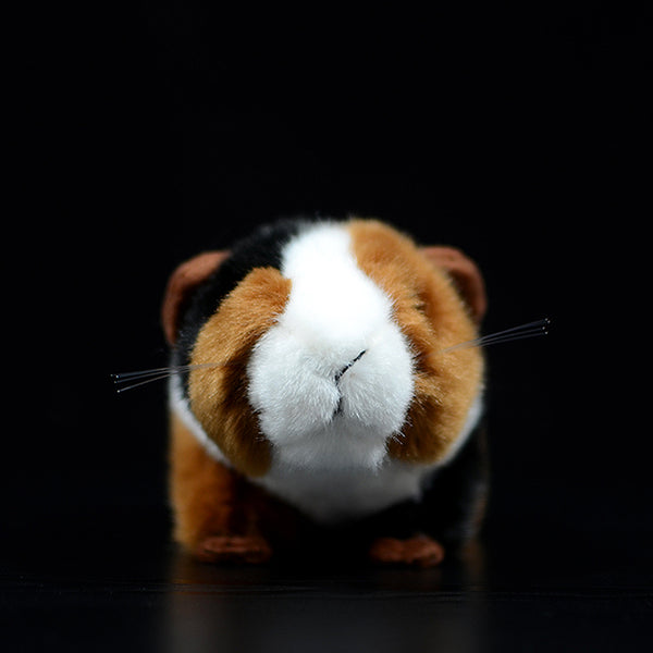 Guinea Plush Toy