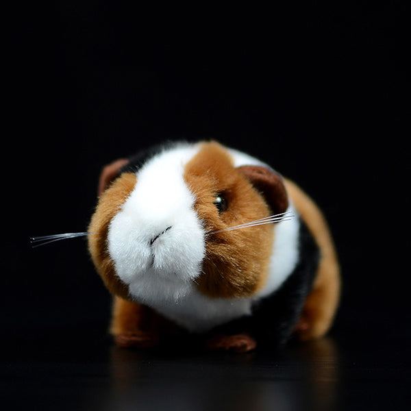 Guinea Plush Toy