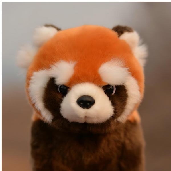 Red Panda & Raccoon  Plush Toys