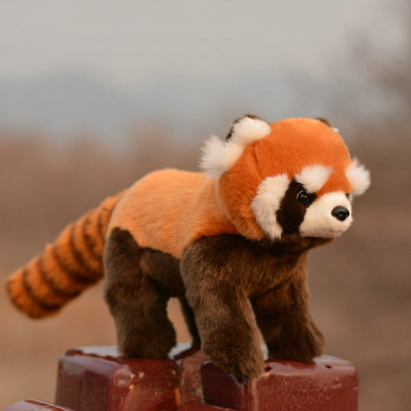 Red Panda & Raccoon  Plush Toys