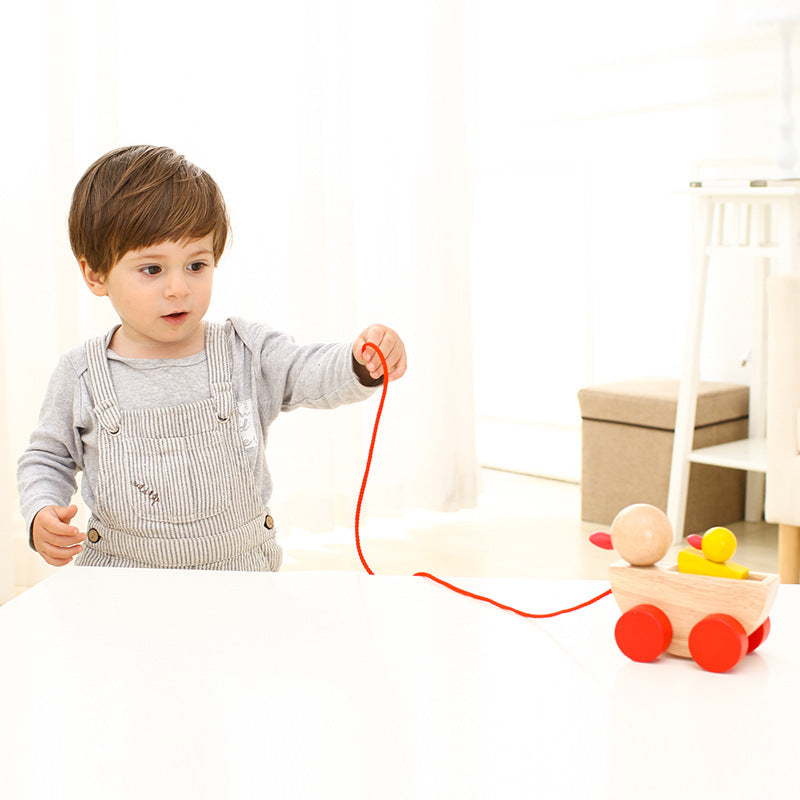 Montessory Duckling Toddler Toy