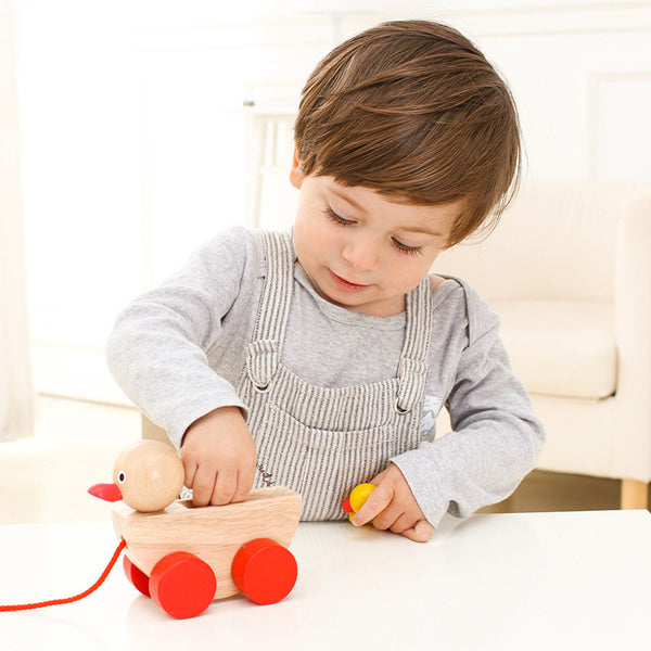 Montessory Duckling Toddler Toy