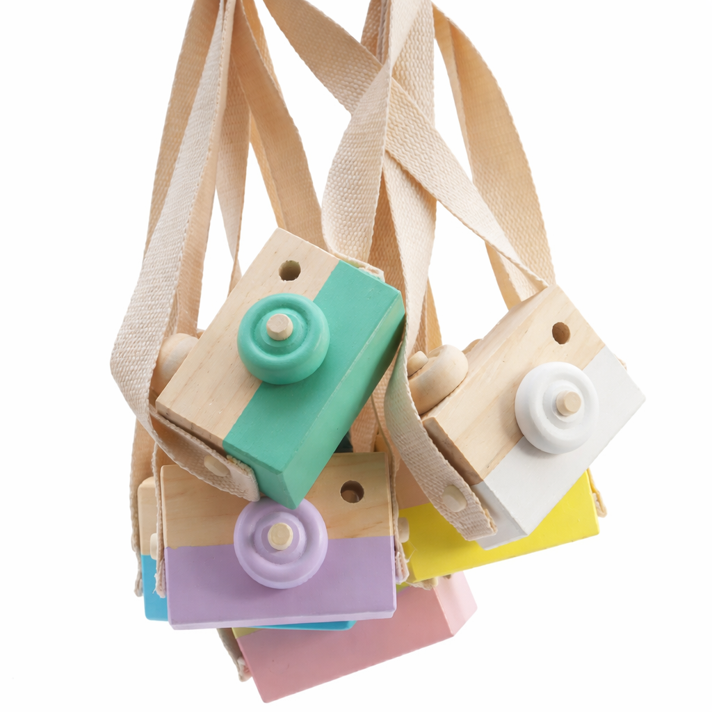 Pic-Click Wonder Camera