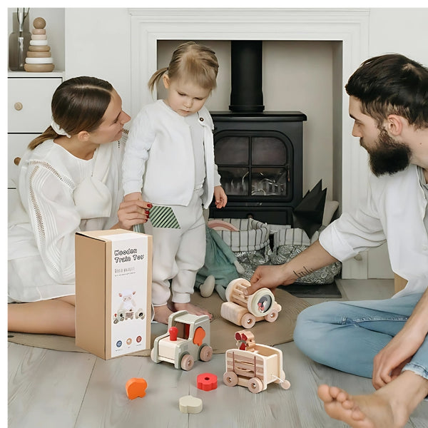 Wooden Shape Sorter Train