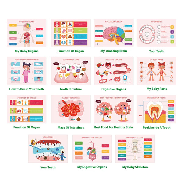 Montessori Human Body Busy Book