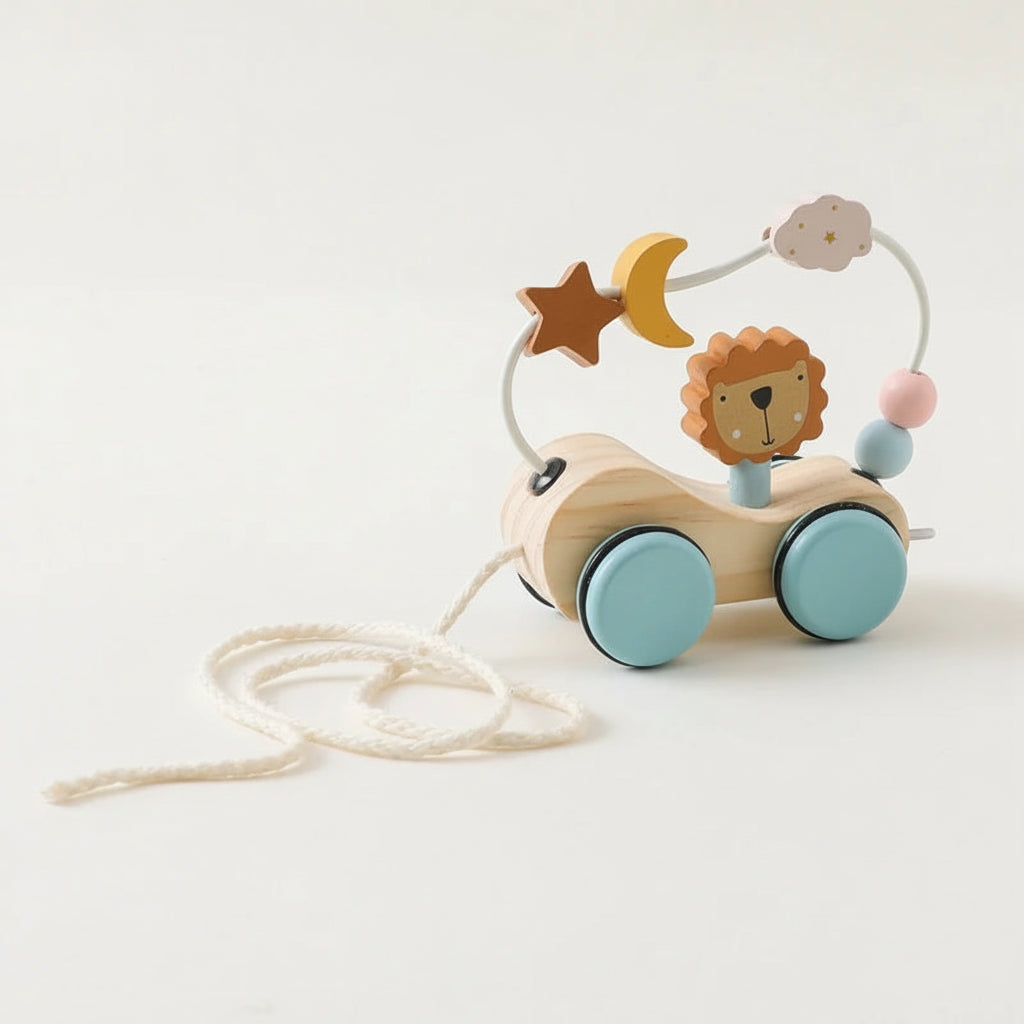 Lili Lion Car