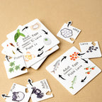 Montessori Growth Cycle Puzzle