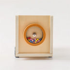 Montessori Ice Cream Store