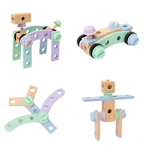 Wooden creative nut kids assembly kit