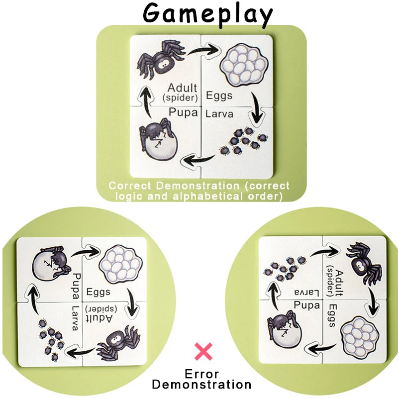 Montessori Growth Cycle Puzzle