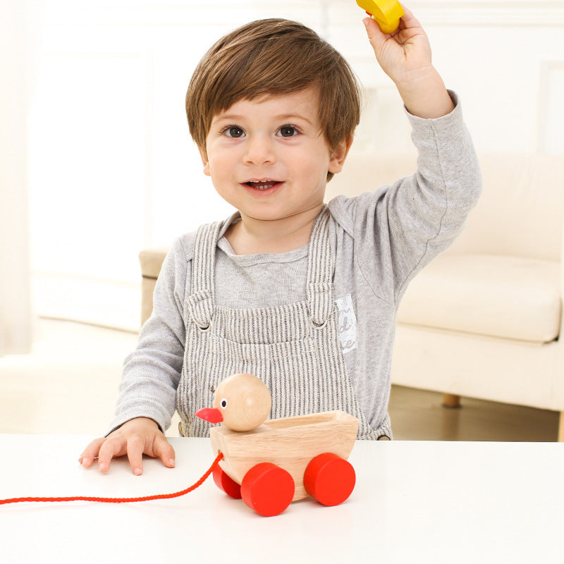 Montessory Duckling Toddler Toy