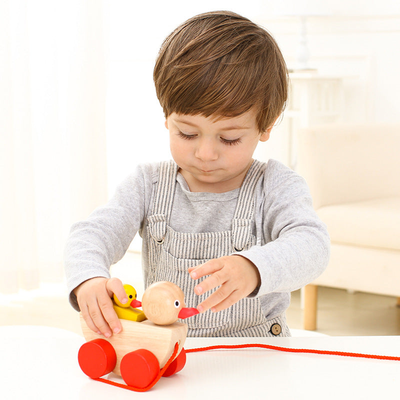 Montessory Duckling Toddler Toy